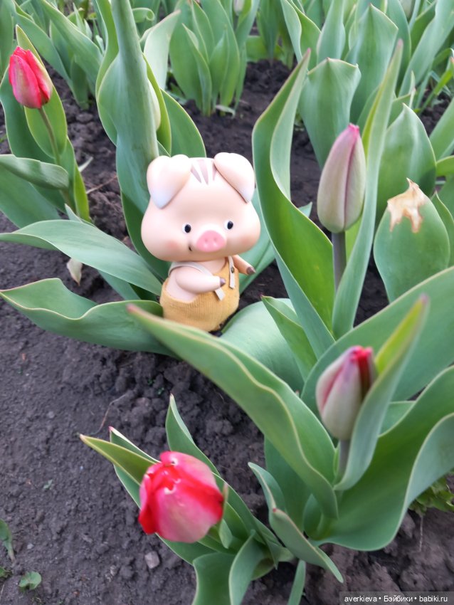 Зелёное...Красивое — Интересные игрушки и фигурки (разное): редкие (фото 6)