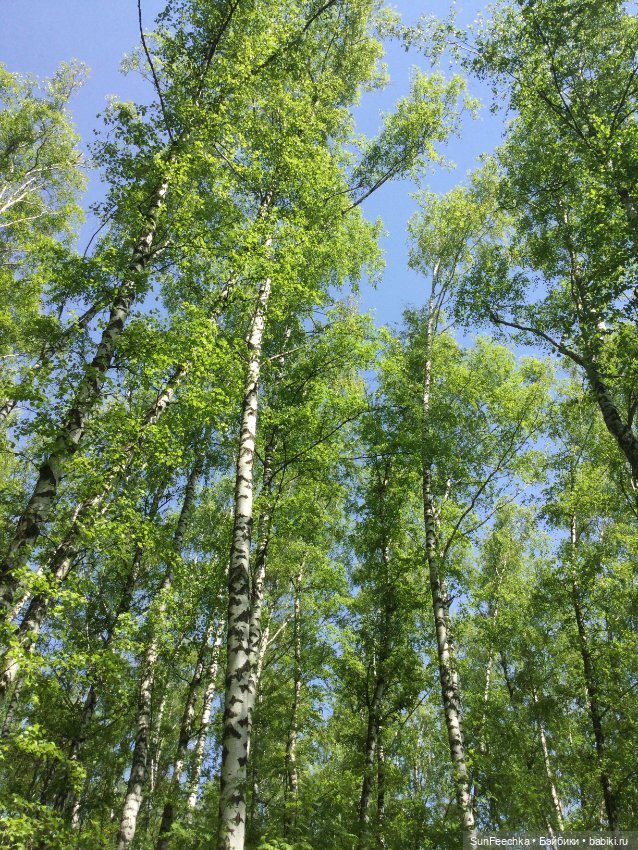 Мистер Бин, как всегда, на коне (фото 8)