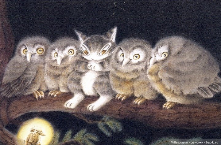 Новинка от Pullip 2023: Pullip Leema-chan DAYAN 40th Anniversary ver (фото 3)