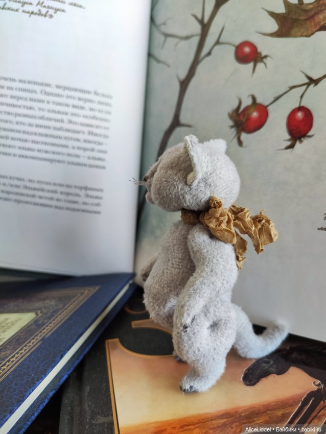 Кот который пришёл в сумерках (фото 5)