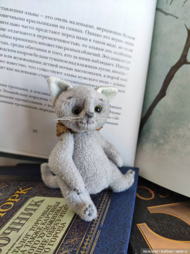 Кот который пришёл в сумерках (фото 2)