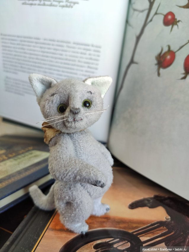 Кот который пришёл в сумерках (фото 4)