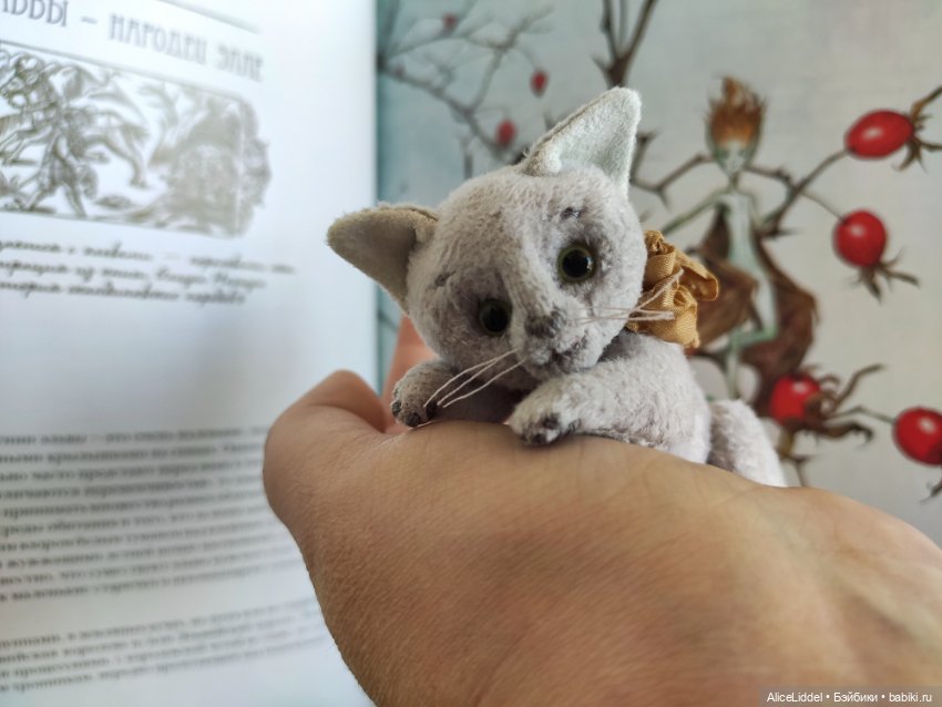 Кот который пришёл в сумерках (фото 7)