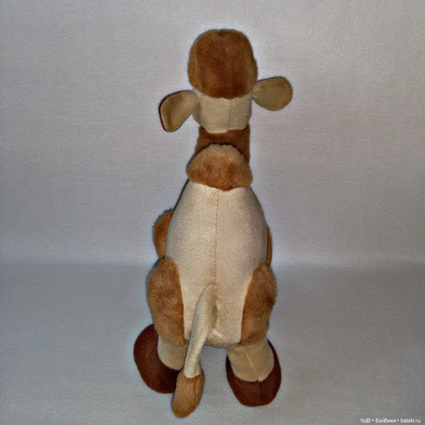 ...Верблюд — Интересное и необычное: фотоподборки (фото 2)