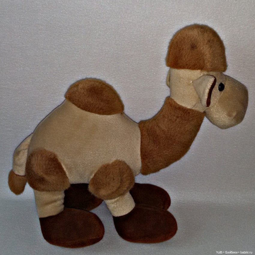 ...Верблюд — Интересное и необычное: фотоподборки (фото 3)