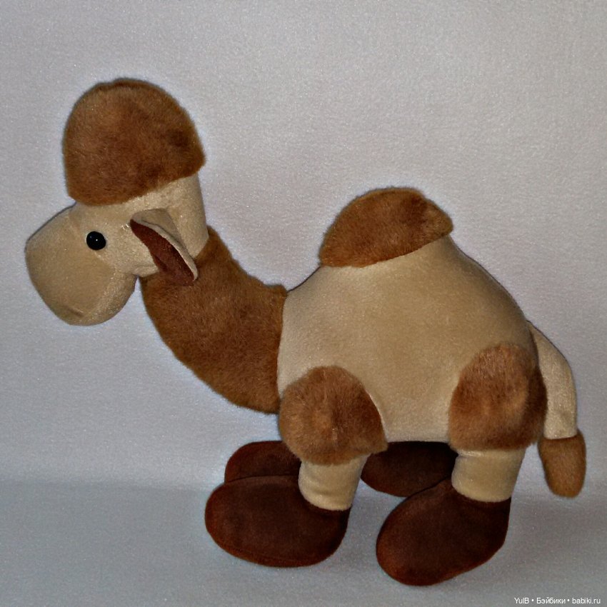 ...Верблюд — Интересное и необычное: фотоподборки (фото 4)