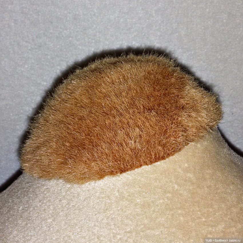 ...Верблюд — Интересное и необычное: фотоподборки (фото 9)