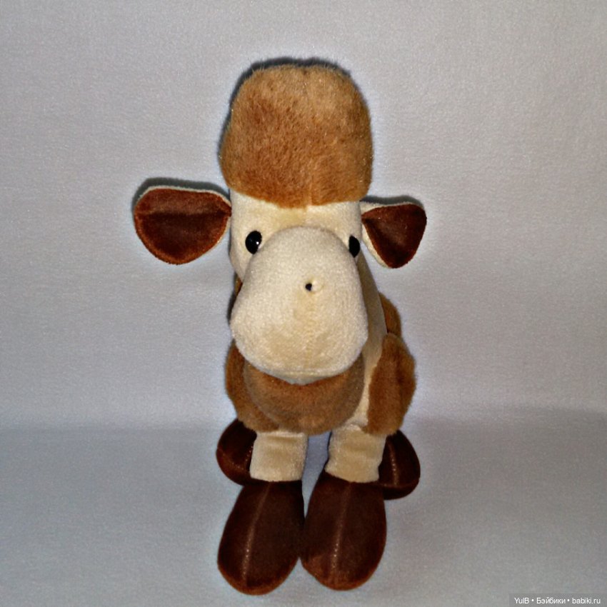 ...Верблюд — Интересное и необычное: фотоподборки