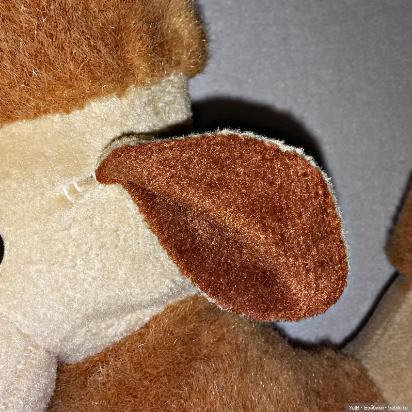 ...Верблюд — Интересное и необычное: фотоподборки (фото 6)