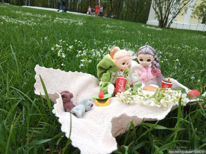 Пикник — Куклы Baboliy (Баболи (фото 2)