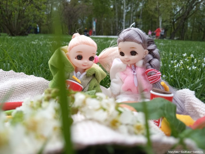 Пикник — Куклы Baboliy (Баболи (фото 4)