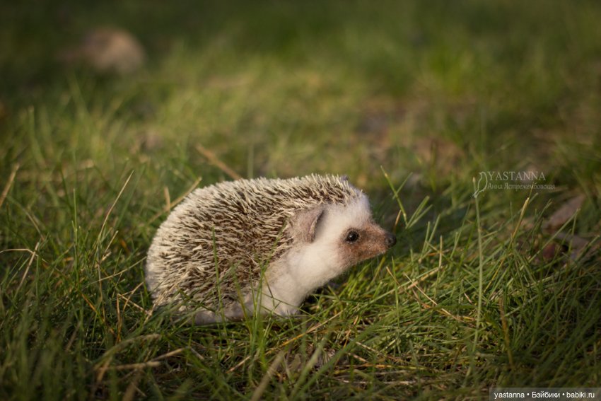 Валяные игрушки из шерсти: сухое валяние (фото 5)
