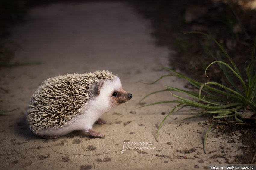 Валяные игрушки из шерсти: сухое валяние