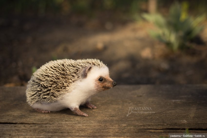 Валяные игрушки из шерсти: сухое валяние