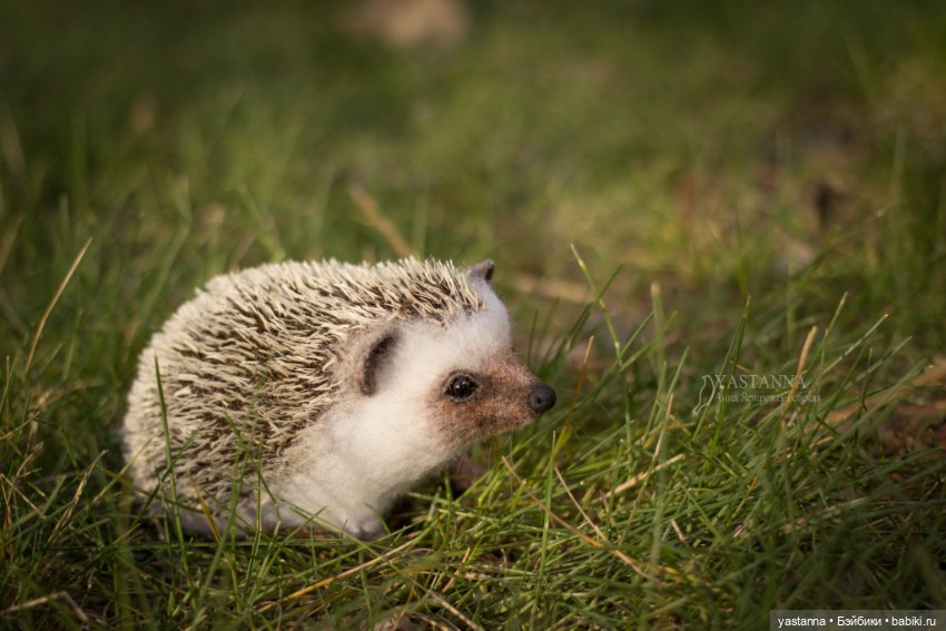 Валяные игрушки из шерсти: сухое валяние (фото 7)