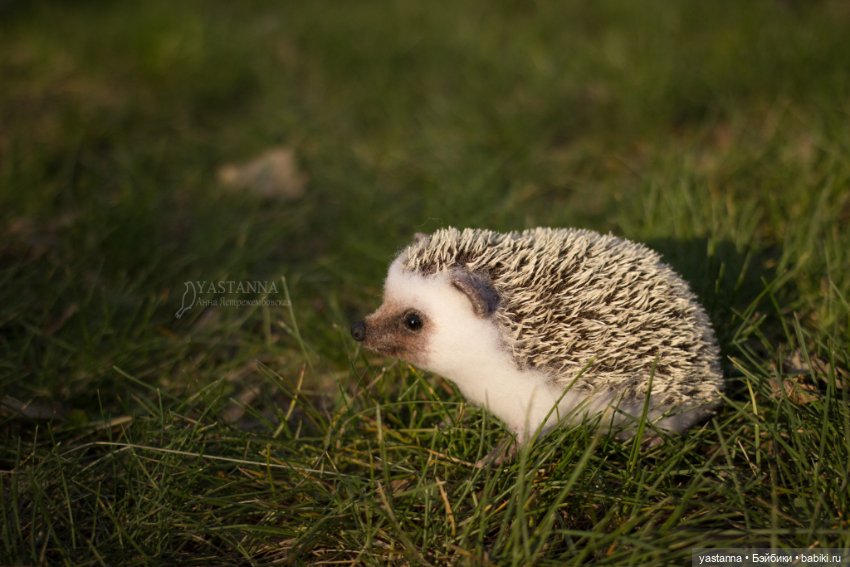 Валяные игрушки из шерсти: сухое валяние (фото 2)