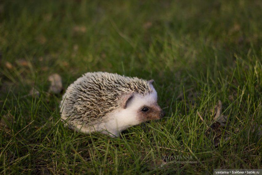 Валяные игрушки из шерсти: сухое валяние (фото 9)