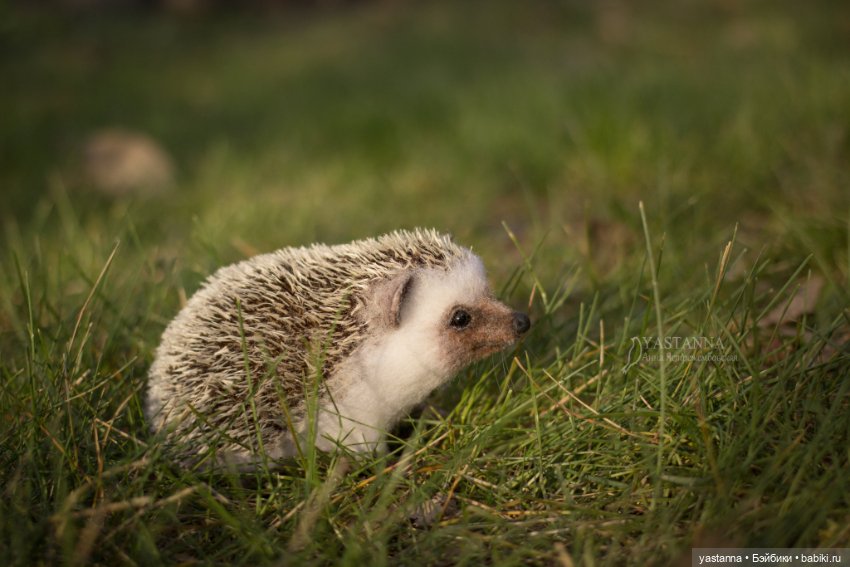 Валяные игрушки из шерсти: сухое валяние (фото 6)