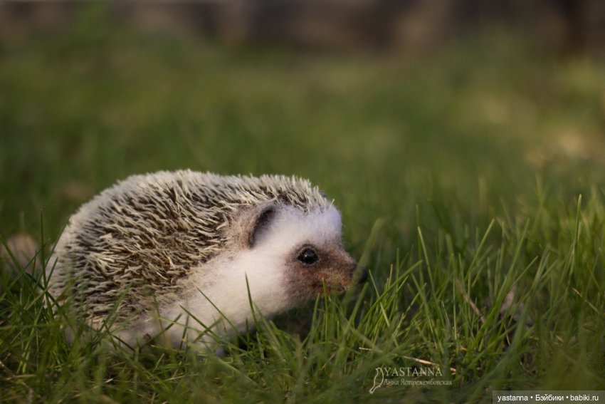 Валяные игрушки из шерсти: сухое валяние (фото 10)