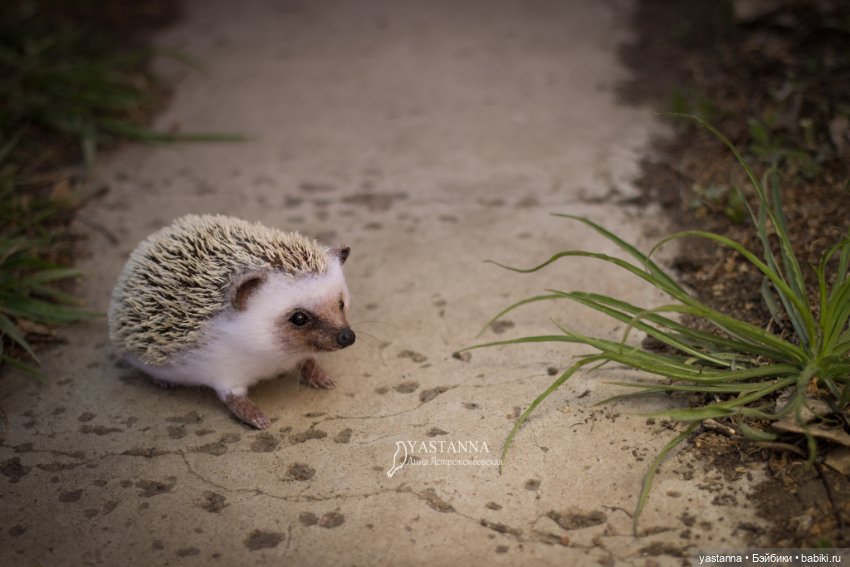 Валяные игрушки из шерсти: сухое валяние