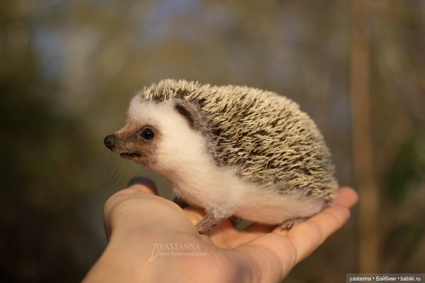 Валяные игрушки из шерсти: сухое валяние