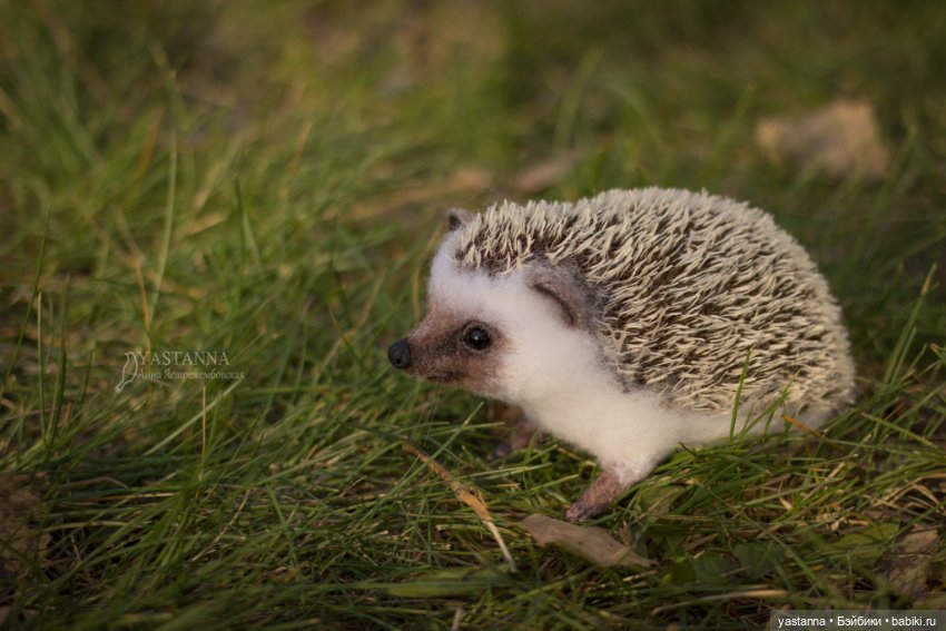 Валяные игрушки из шерсти: сухое валяние (фото 4)