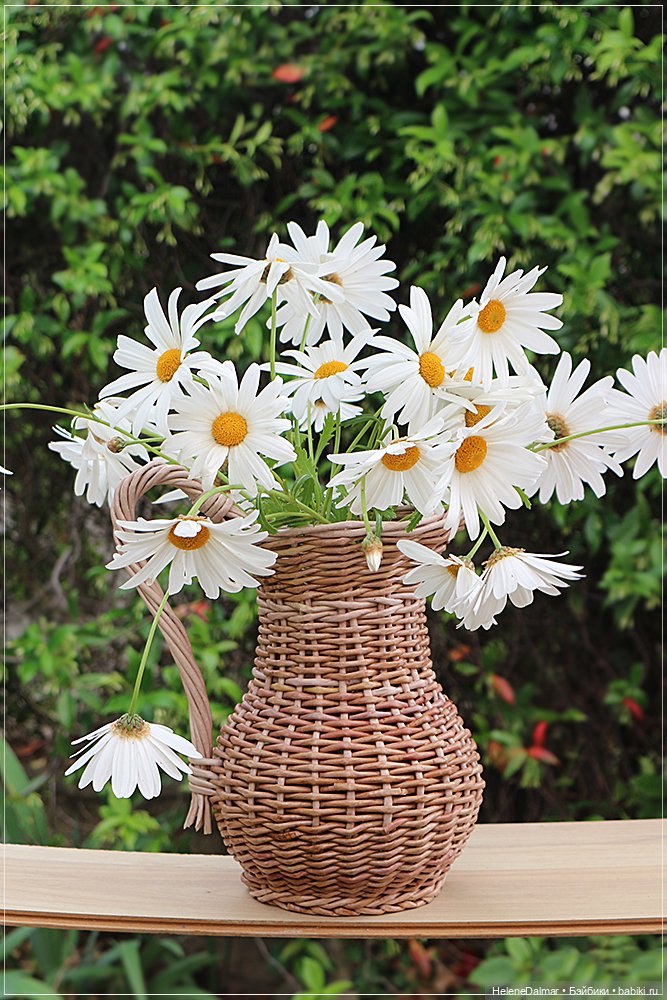 Этажерки и кувшин — Другие хобби и увлечения: сад