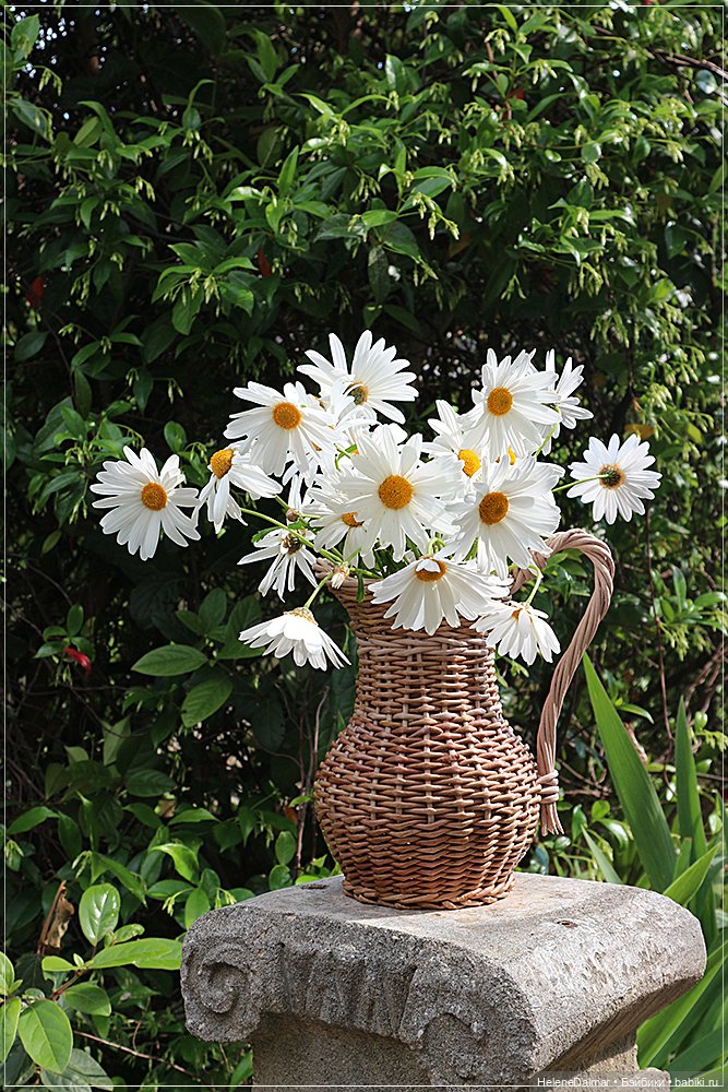 Этажерки и кувшин — Другие хобби и увлечения: сад (фото 10)