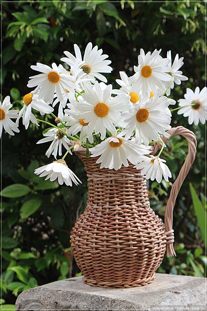 Этажерки и кувшин — Другие хобби и увлечения: сад