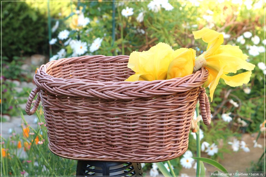 Этажерки и кувшин — Другие хобби и увлечения: сад (фото 9)