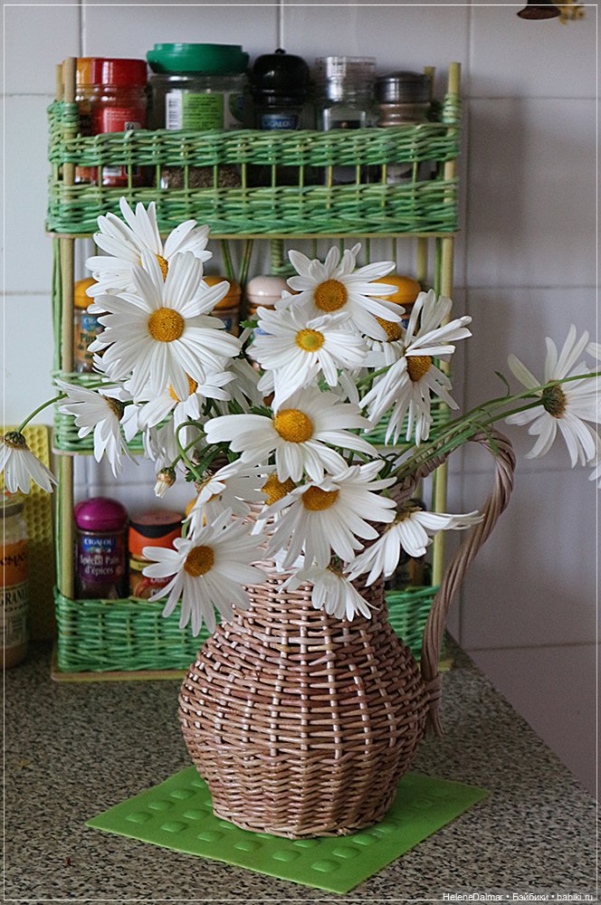 Этажерки и кувшин — Другие хобби и увлечения: сад