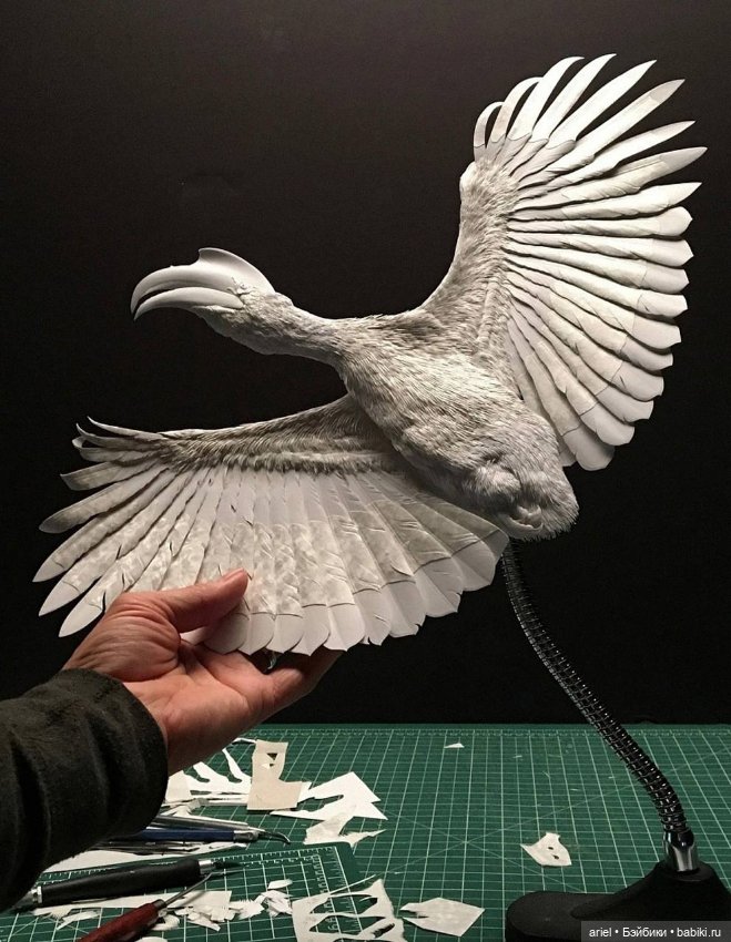 Реалистичные произведения канадского художника Келвина Николса (Calvin Nicholls) (фото 8)