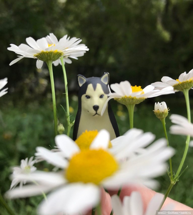 Собакоптиц — Интересные игрушки и фигурки (разное): редкие