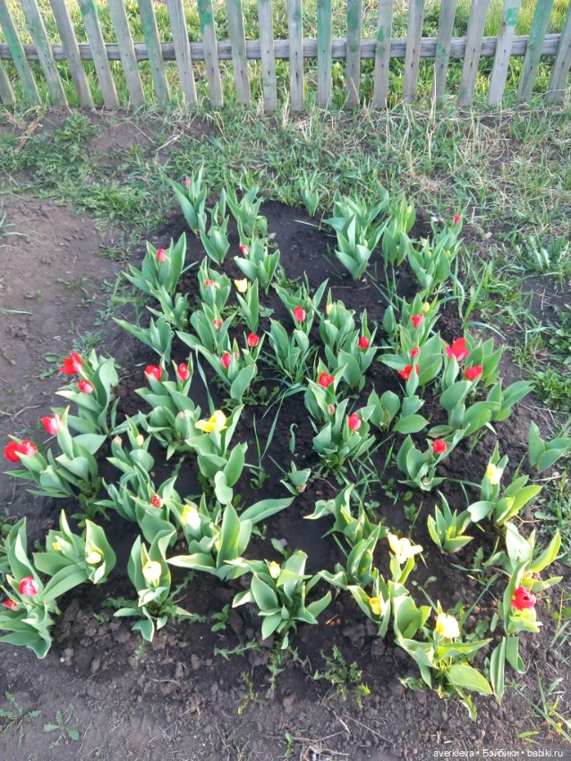 Ну какова красота — Интересные игрушки и фигурки (разное): редкие (фото 9)