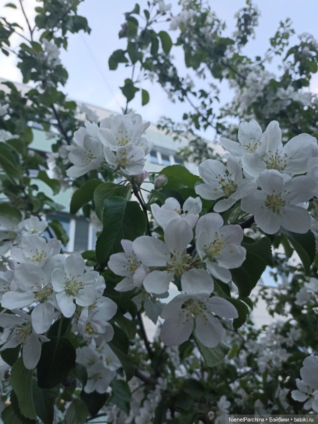 Эш на прогулке — Куклы Rainbow High (Рейнбоу Хай