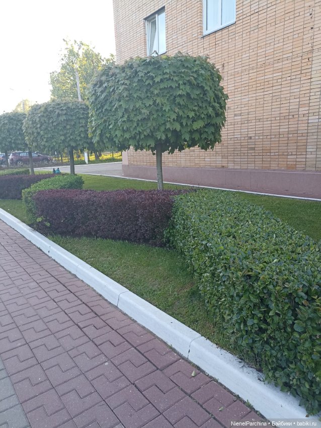 Эш на прогулке — Куклы Rainbow High (Рейнбоу Хай