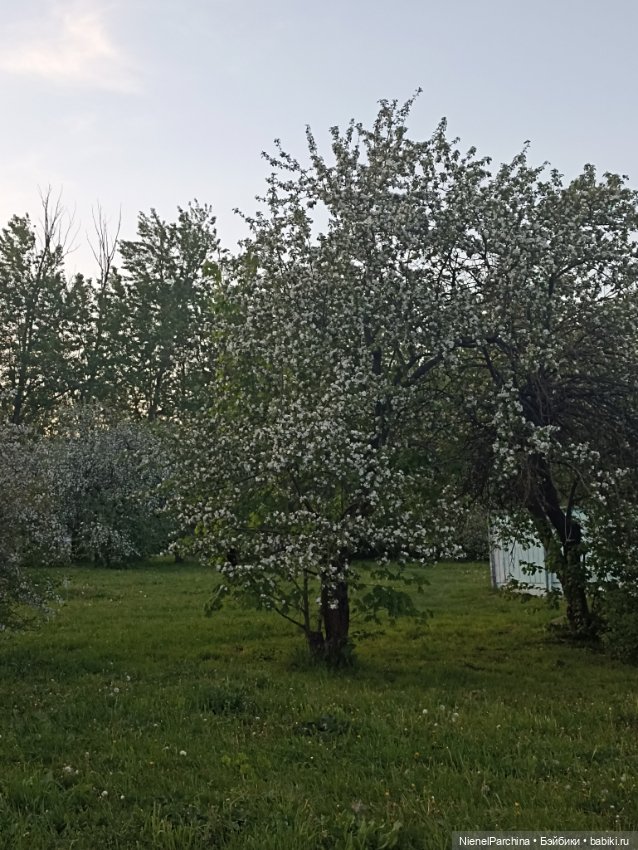 Эш на прогулке — Куклы Rainbow High (Рейнбоу Хай