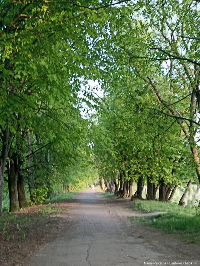 Эш на прогулке — Куклы Rainbow High (Рейнбоу Хай (фото 7)