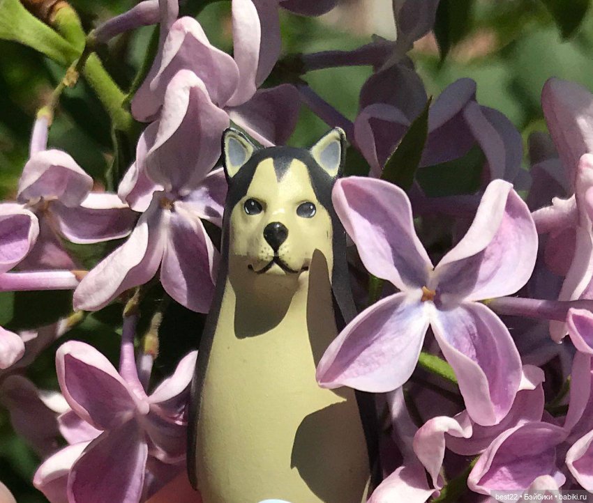 Собакоптиц — Интересные игрушки и фигурки (разное): редкие (фото 9)