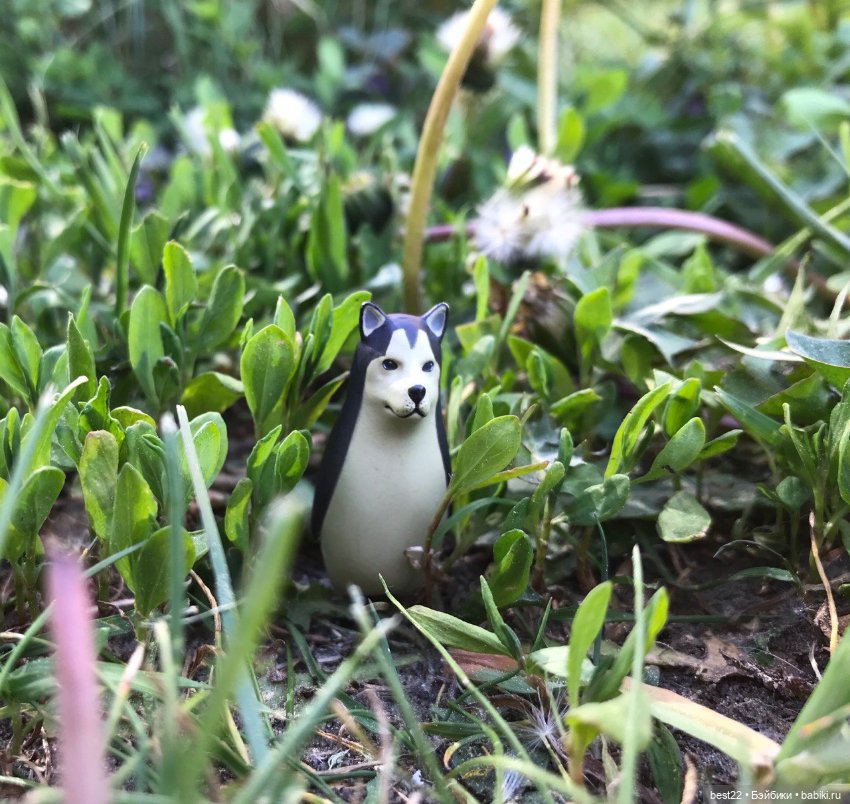 Собакоптиц — Интересные игрушки и фигурки (разное): редкие