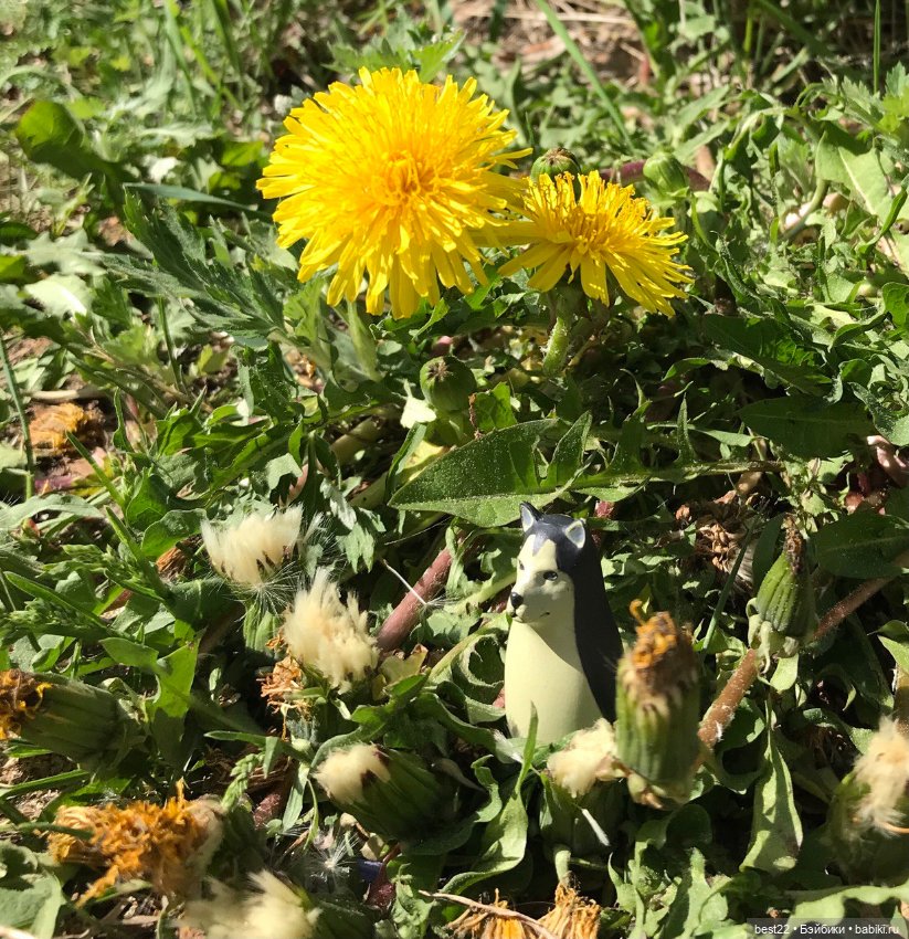 Собакоптиц — Интересные игрушки и фигурки (разное): редкие (фото 10)