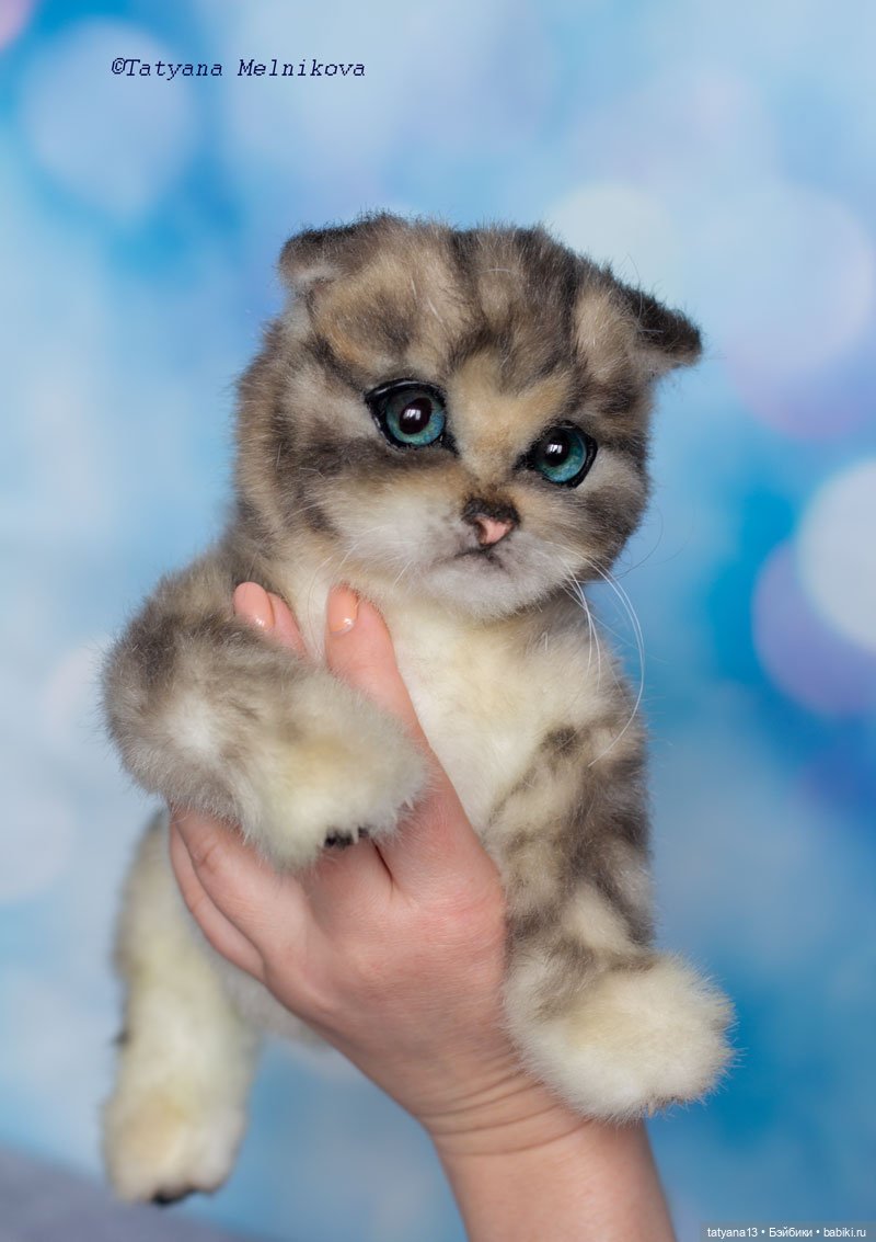 Реалистичный котенок по имени Котенок (фото 9)