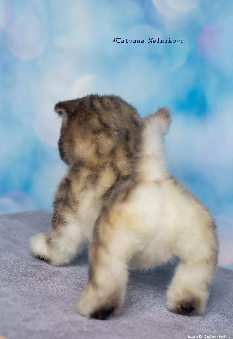 Реалистичный котенок по имени Котенок (фото 10)