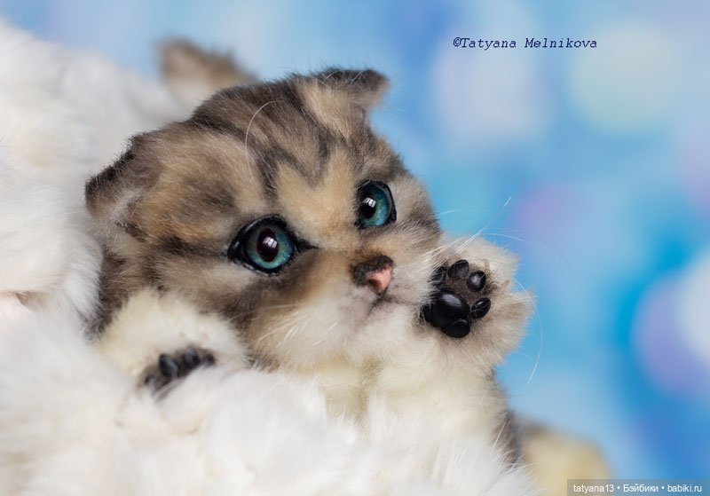 Реалистичный котенок по имени Котенок (фото 5)