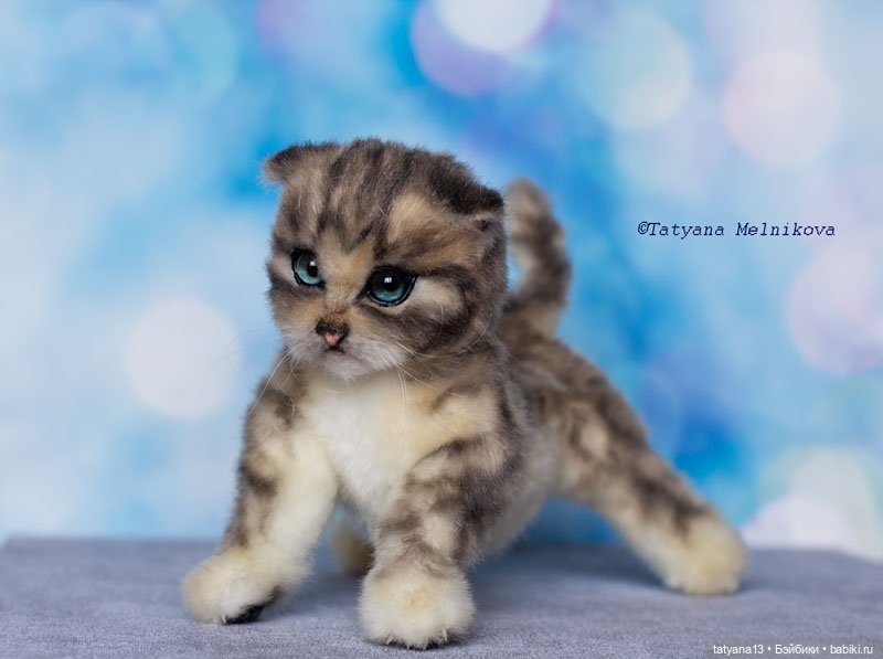Реалистичный котенок по имени Котенок (фото 7)