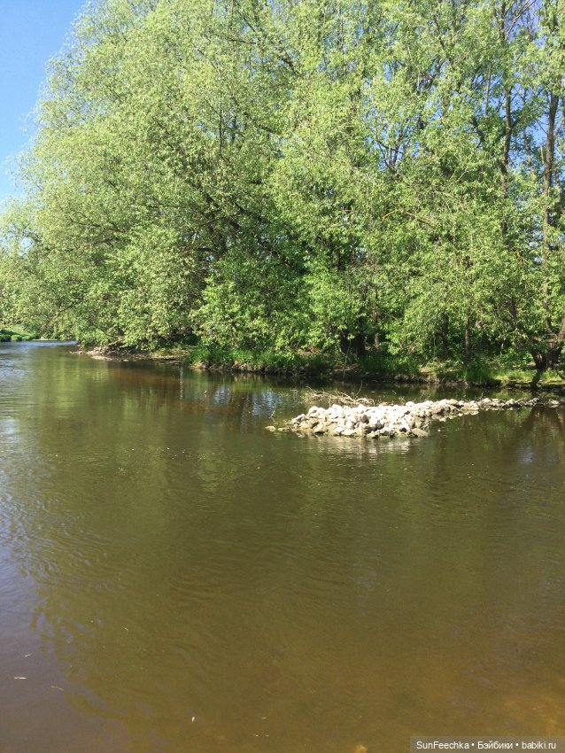 Мистер Бин. «Лето, ах лето…» (фото 2)