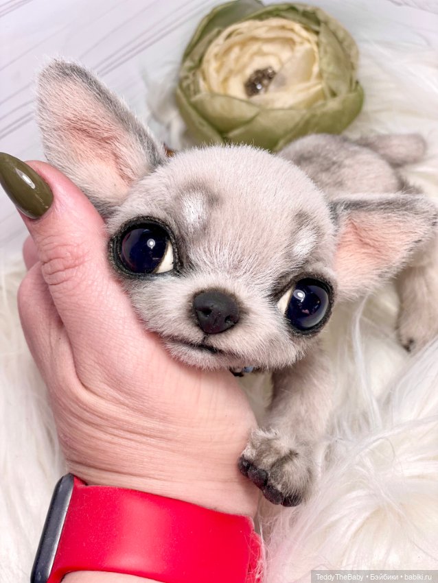 CheŠka — Реалистичные игрушки и звери (Натюр): собаки