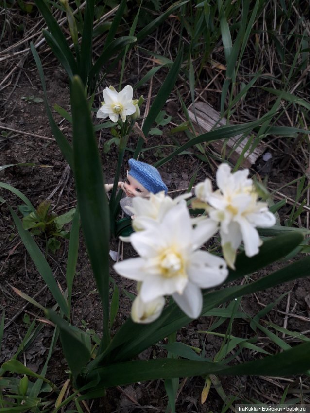 Весна,первая прогулка — Куклы Fairyland (ФэйриЛэнд): BJD (БЖД)