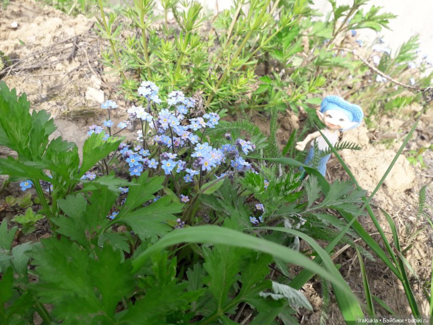 Весна,первая прогулка — Куклы Fairyland (ФэйриЛэнд): BJD (БЖД)