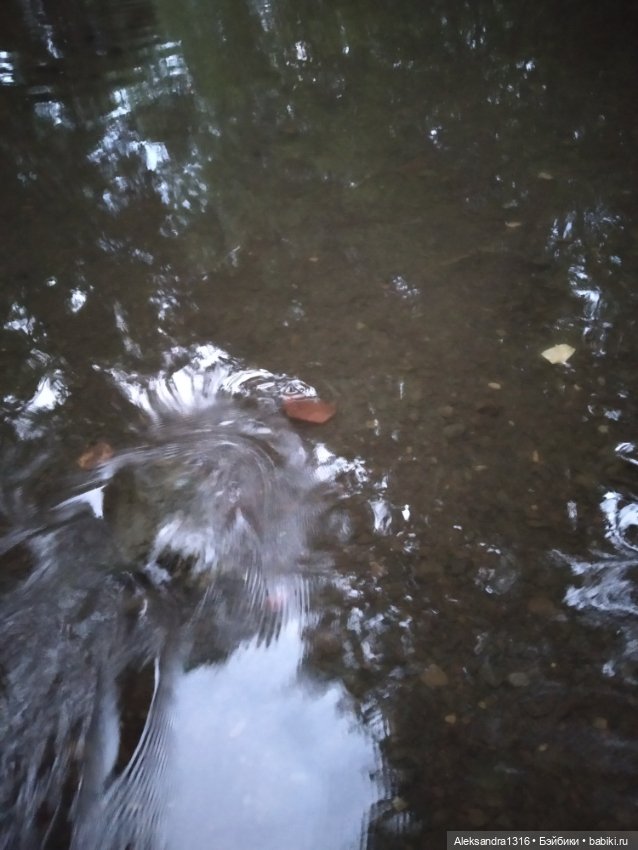 Пошли мы погулять с Марусей вечерком☁️